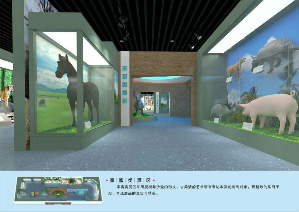 展馆壁画制作单位博物馆设计师专业设计施工